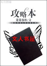 攻略本封面