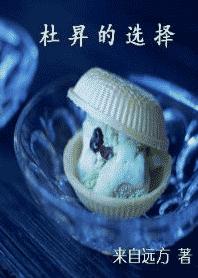 杜昇的选择封面