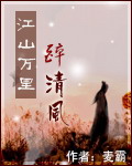 江山万里醉清风封面