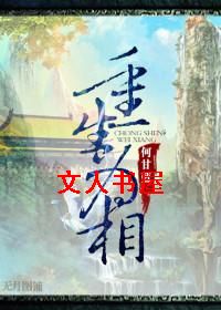 重生为相封面
