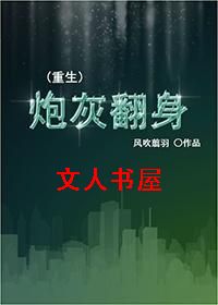 炮灰翻身(重生)封面