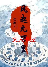 风起九万里封面