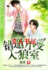 错邀小受入狼室封面