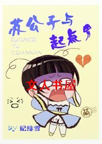苏公子与起点男封面