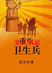 重生卫生兵封面
