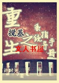 重生搅基之系统指导手册封面
