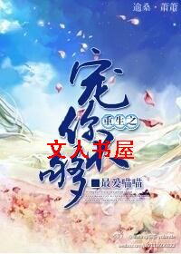 重生之宠你不够封面