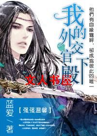 我的外交官殿下封面