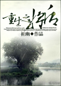 重生之将后封面