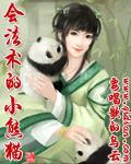 会法术的小熊猫封面