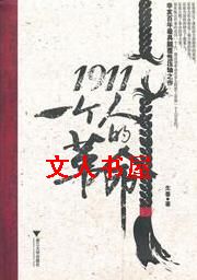 1911:一个人的革命封面