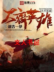 大齐英雄封面