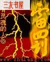 雷罚封面
