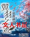 翼羽之迹封面
