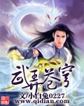 武弄苍穹封面