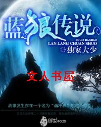 蓝狼传说封面