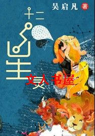十二星灵封面