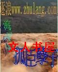 孤臣孽子封面