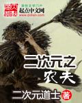 二次元之农夫封面
