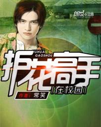 护花高手在校园封面