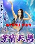 紫宵天尊封面
