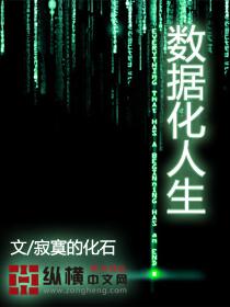 数据化人生封面