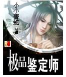 极品鉴定师封面