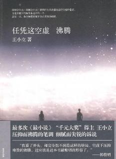 任凭这空虚沸腾封面