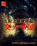 九阳之雄风再起封面