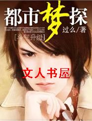 都市梦探封面