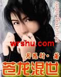 苍龙混世封面