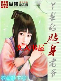 丫鬟的贴身老爷封面