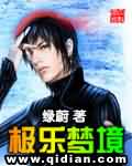 极乐梦境封面
