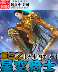 重生之星空骑士封面