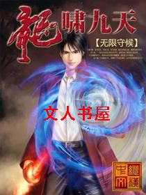 龙啸九天封面