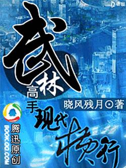 武林高手现代横行封面