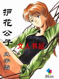 护花公子封面