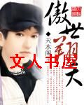傲世翔天封面