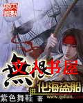 无限进化海盗船封面