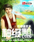 神级修真农民封面