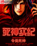 死神实纪封面
