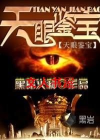 天眼鉴宝封面