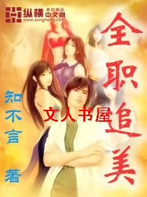 全职追美封面