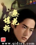 无花堪折封面