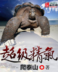 超级精气封面