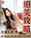 追美攻略封面