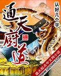 通天厨道封面
