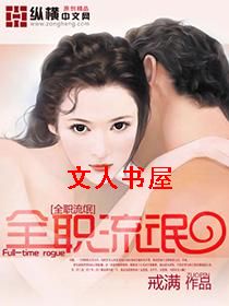全职流氓封面