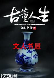 古董人生封面