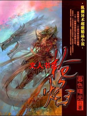 枪焰封面